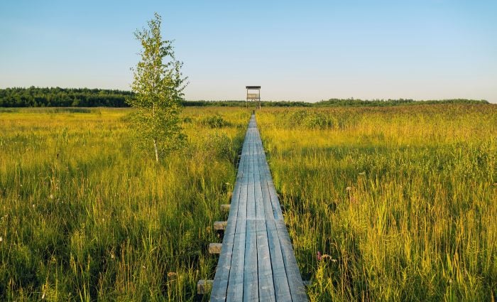 insight featured image