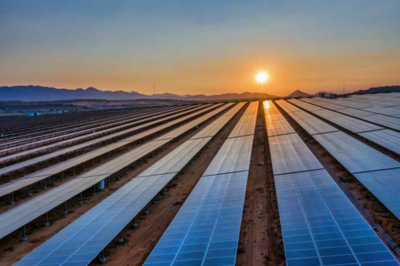 Grønne tilskudspuljer: Sådan søger du tilskud til rådgivning