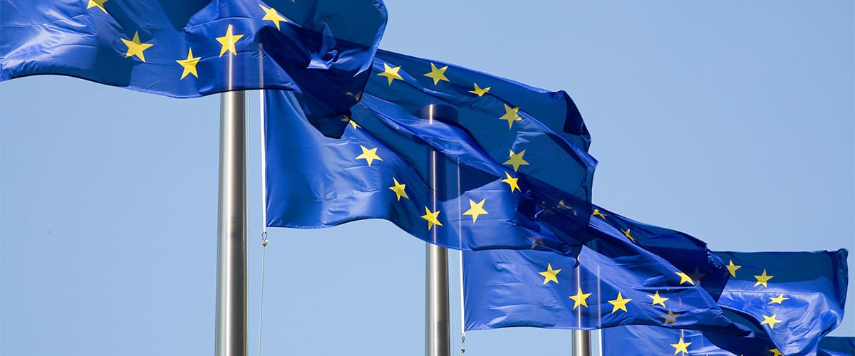 insight featured image