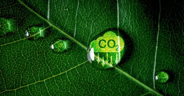 Få hjælp til klimaregnskabet