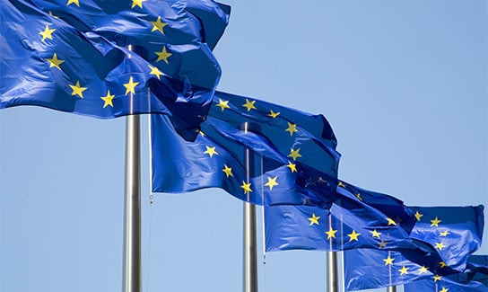 Omnibus: Stop-the-clock-direktivet vedtaget – hvad nu?