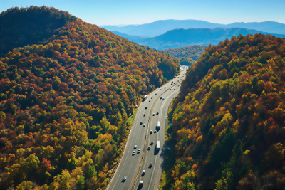 insight featured image