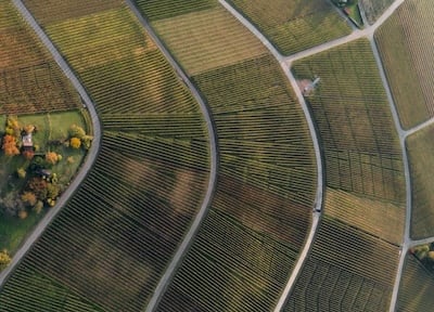 EU’s Omnibus 1 skal styrke konkurrenceevnen