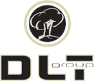 DLT Group
