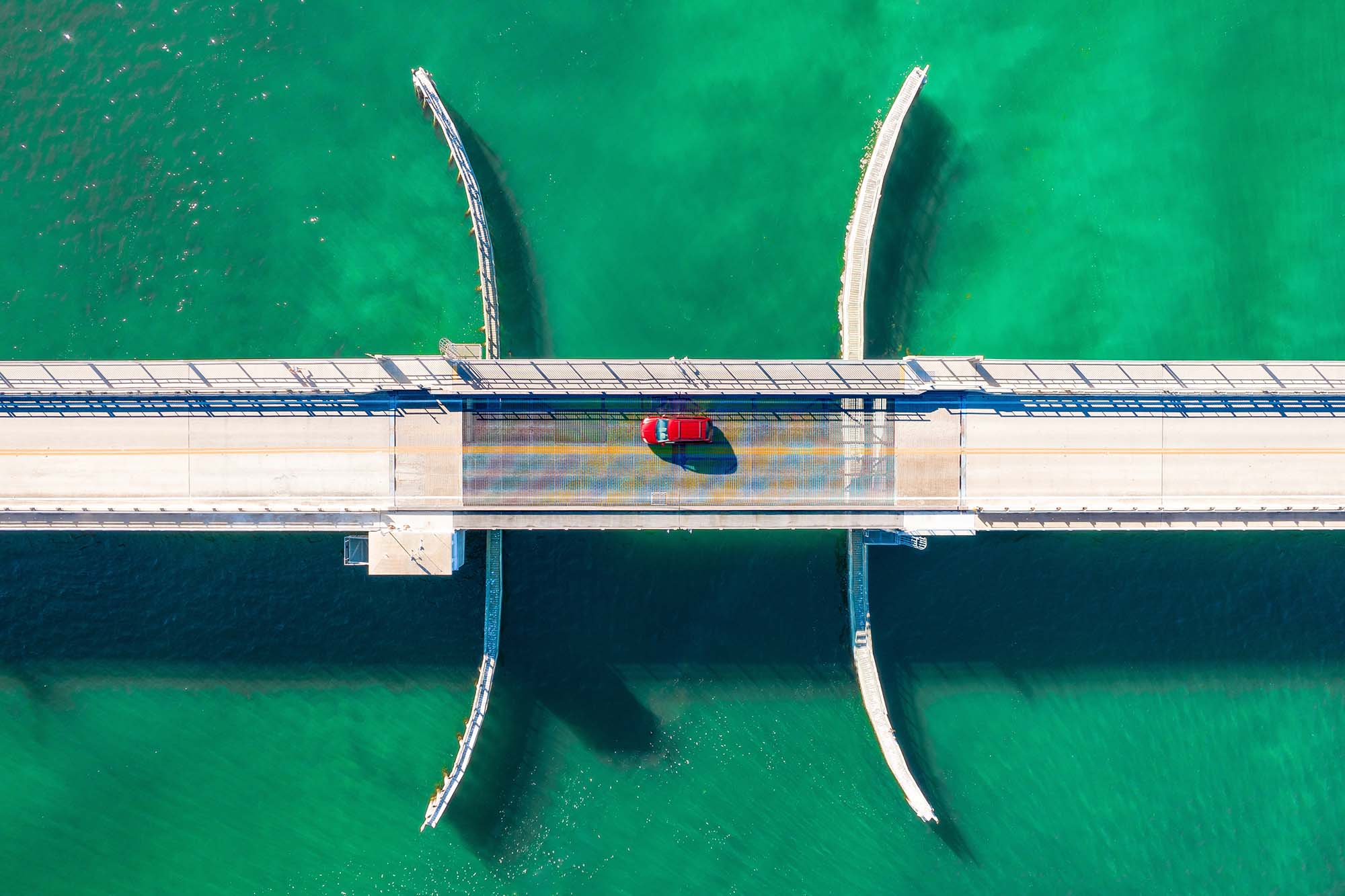 insight featured image