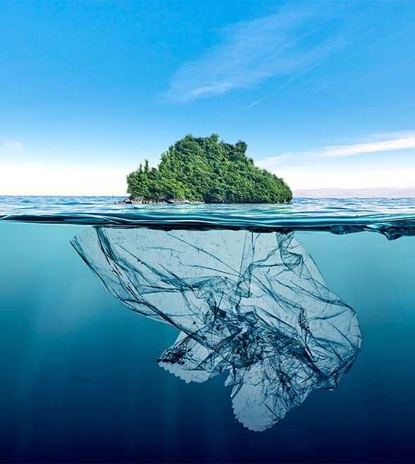  Greenwashing 