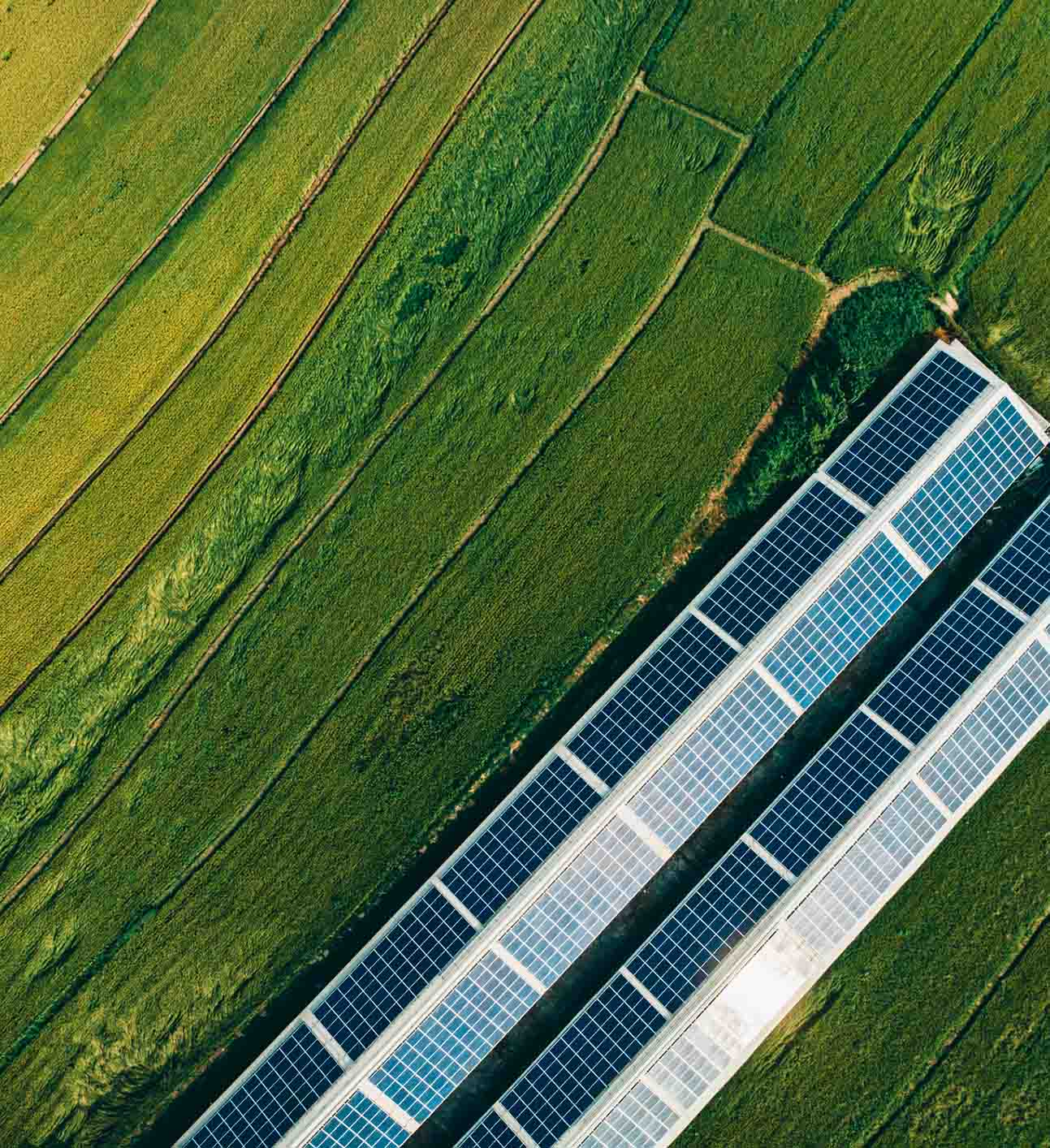 Solceller på mark