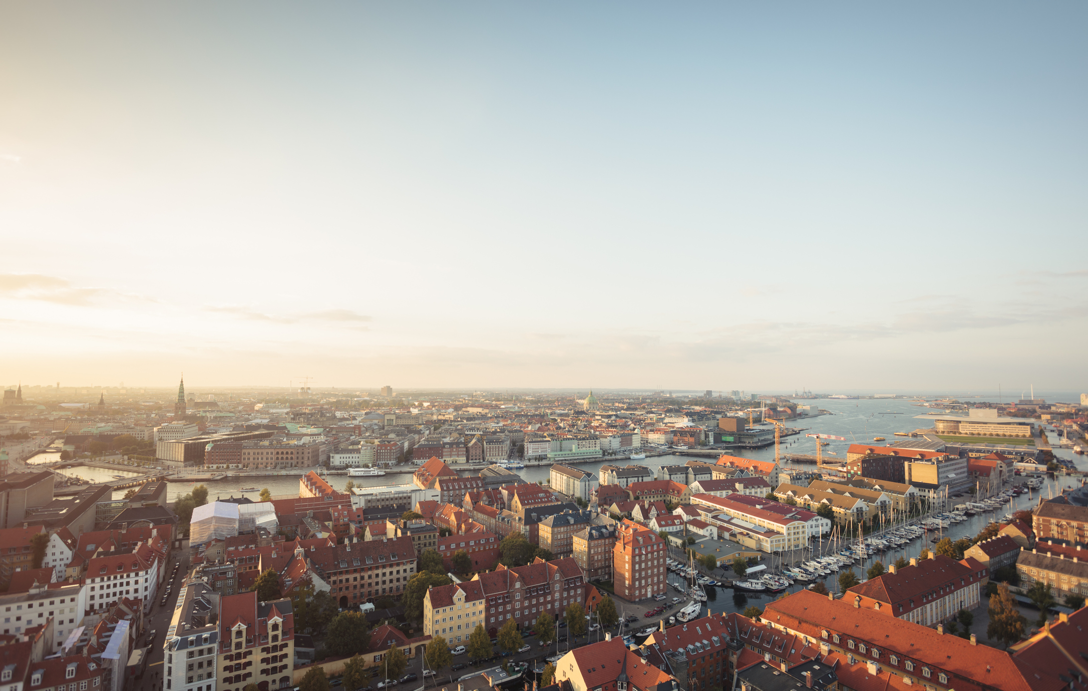 Testimonials og referencer